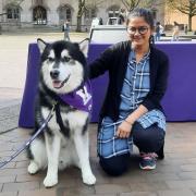 picture of girl with husky